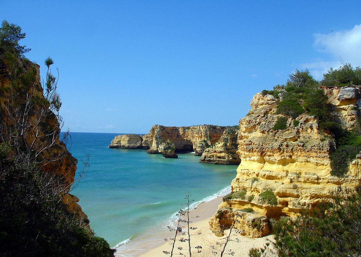 Casa Ouricos Large Pool Bbq Walk To Beach Carvoeiro (Lagoa) Exterior foto
